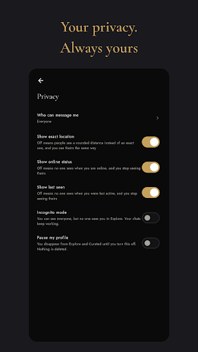 The Privacy settings, with switches for location, online status and last seen